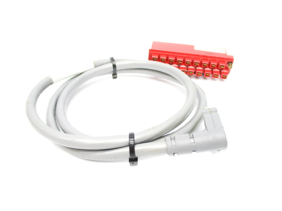 ALLEN BRADLEY 1492-CABLE10C SER. B (BR/YL) NSMP