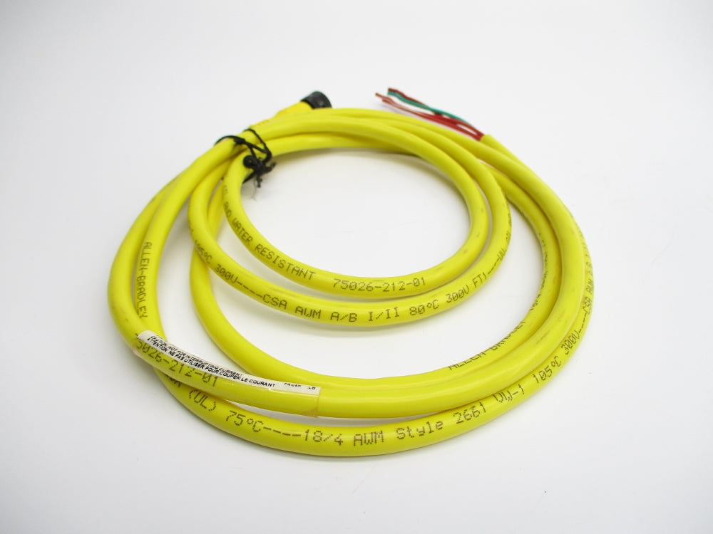 ALLEN BRADLEY 889R-F4AEA-2 SER. B 250V 4A NSNP