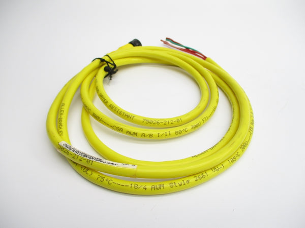 ALLEN BRADLEY 889R-F4AEA-2 SER. B 250V 4A NSNP