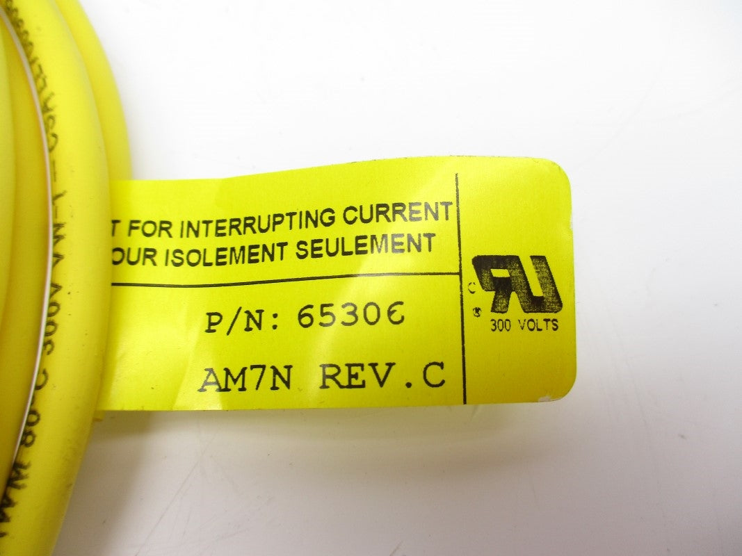 TPC WIRE & CABLE 65306 300V NSNP