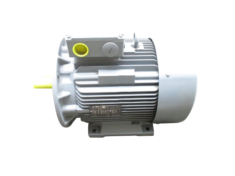 VEM MOTORS 118872/0049HK11R160MX2TWSHKFDHW 400/690V 28/26.5A NSNP