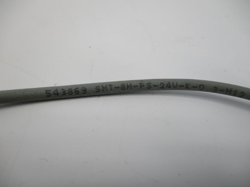 FESTO SMT-8M-PS-24V-K-0.3-M12 543869 NSNP