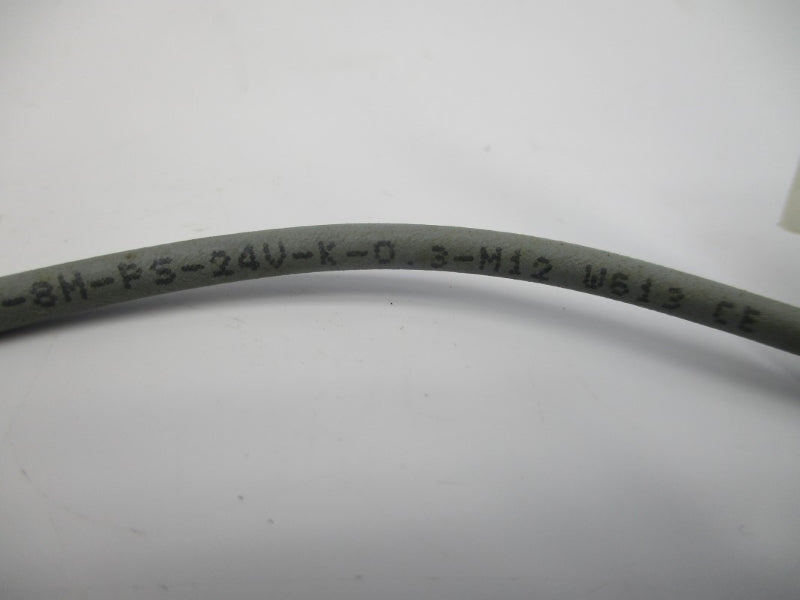 FESTO SMT-8M-PS-24V-K-0.3-M12 543869 NSNP