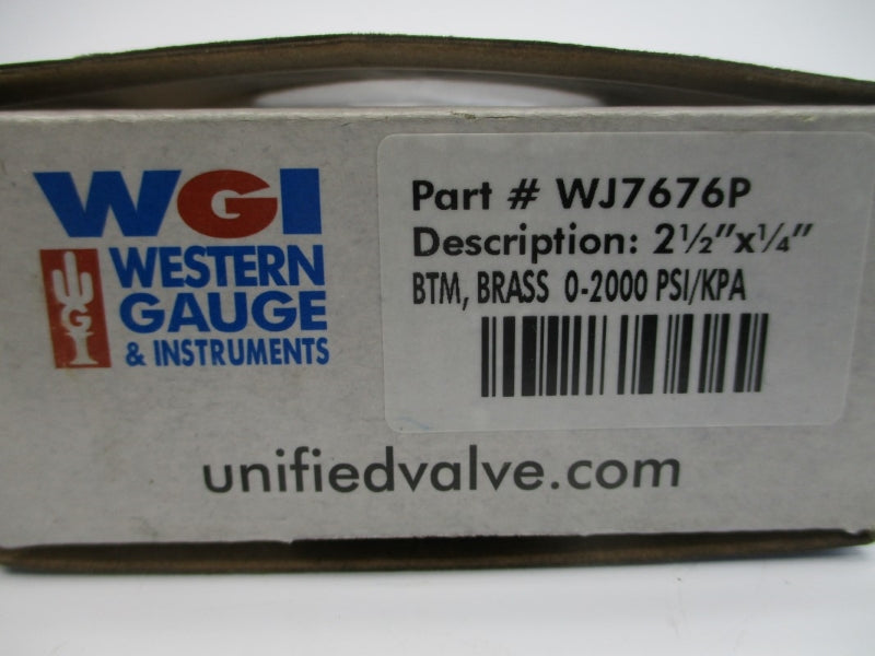 WGI WJ7676P 0-2000PSI NSMP