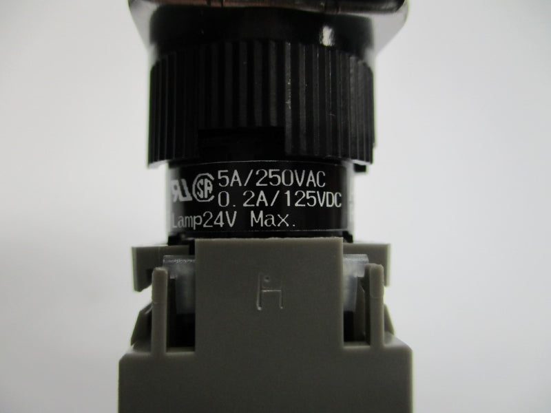 FUJI ELECTRIC AH165-TGLW 250VAC 5A NSNP