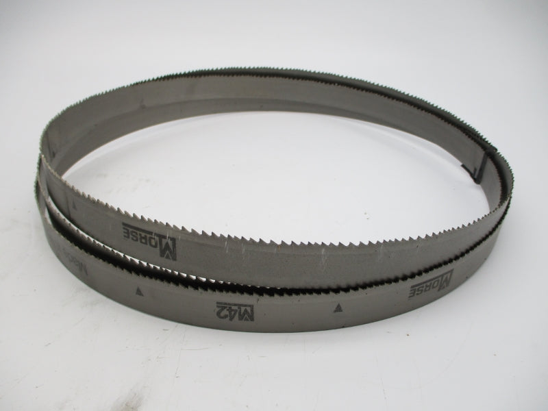 MORSE M42 4255581320 (PKG OF 2) NSMP