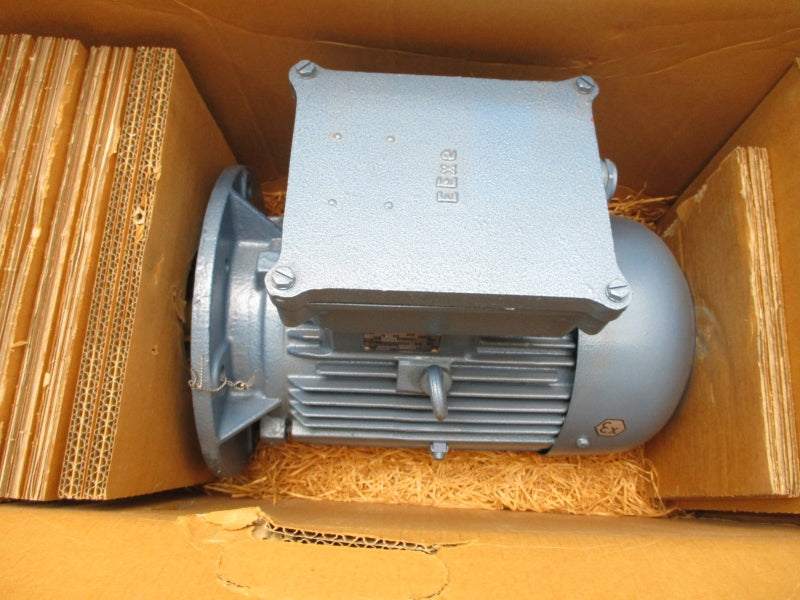 F&G EX-MOTOR 100L1-4 652744001 480V 4.4A NSMP