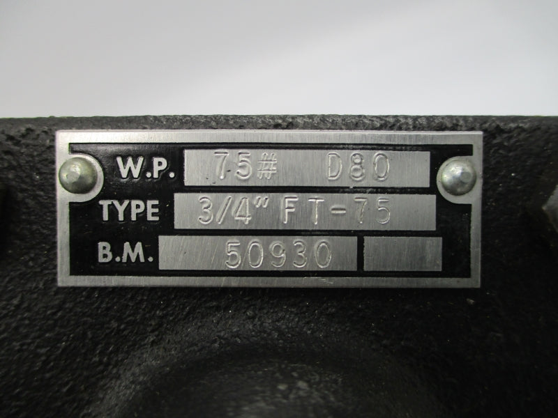 SARCO 50930 FT-75 3/4" NSNP