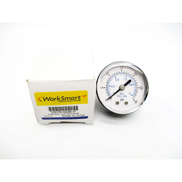 WORK SMART WS-PE-GAGE-31 30PSI 2" NSMP