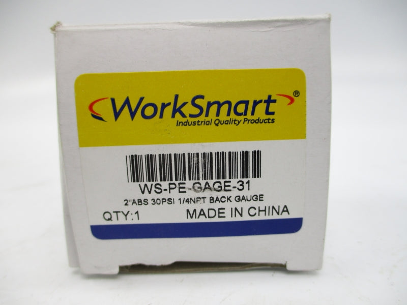 WORK SMART WS-PE-GAGE-31 30PSI 2" NSMP