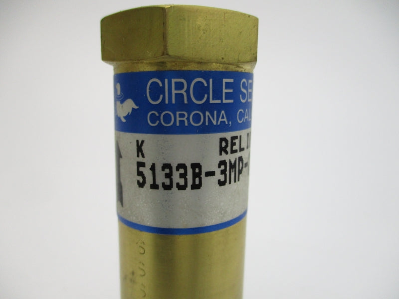 CIRCLE SEAL CONTROLS 5133B-3MP-250 NSNP