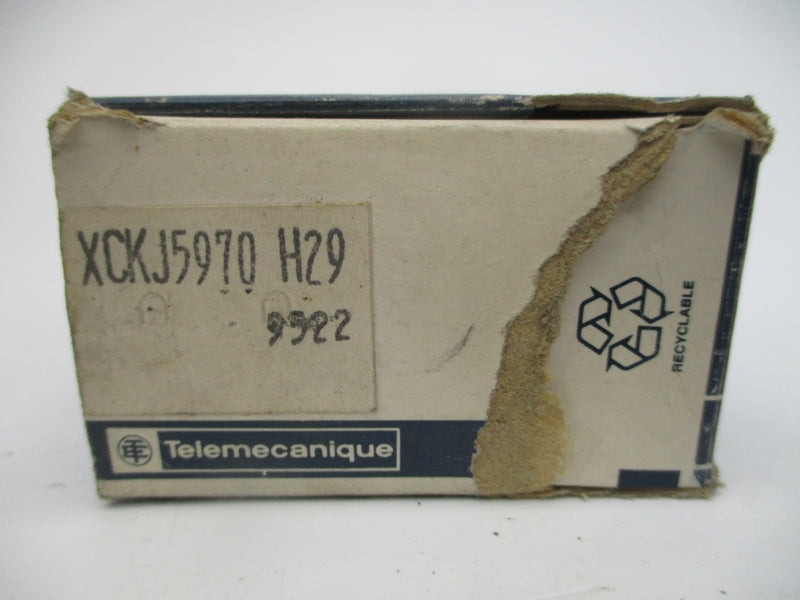 TELEMECANIQUE XCKJ5970H29 240V 3A NSMP