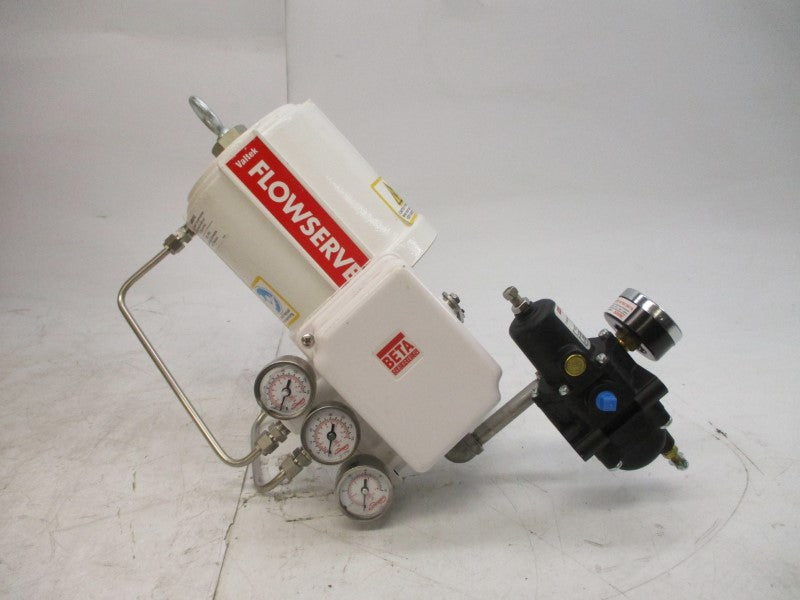 FLOWSERVE VL CYLINDER SIZE 25 3-15PSI NSMP