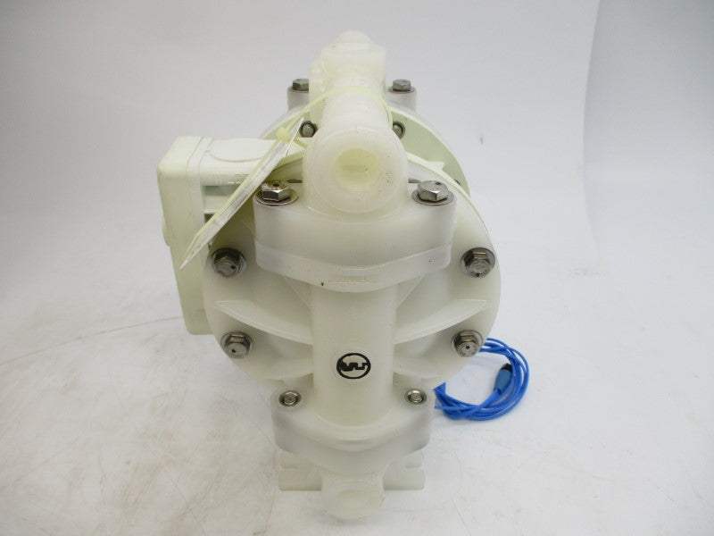 WILDEN P100/KKPPP/TNU/TF/KTV/0102 125PSI NSMP