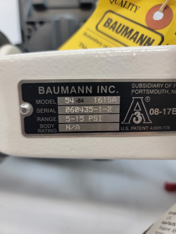 BAUMANN 54-84161SA DVC6010 30VDC 5-15PSI NSNP