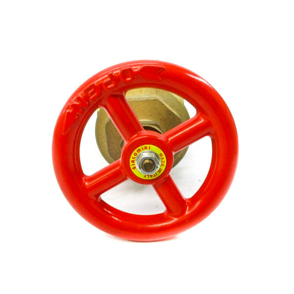 GIACOMINI A53300 2-1/2" NSNP