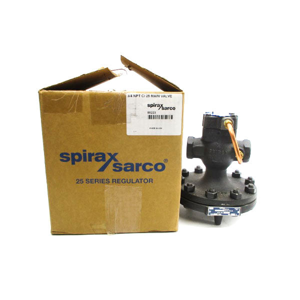 SPIRAX SARCO 55223 G22 250PSI NSMP