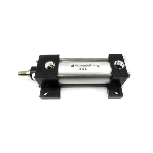BW 300006 NSNP