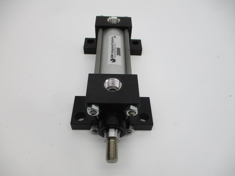 BW 300006 NSNP