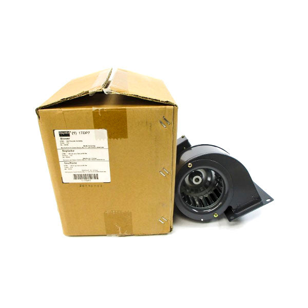 DAYTON 1TDP7 115V 0.68/0.75A NSMP