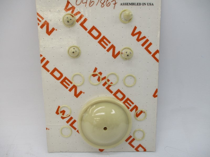 WILDEN WIL-01-9805-58 0.5" NSMP