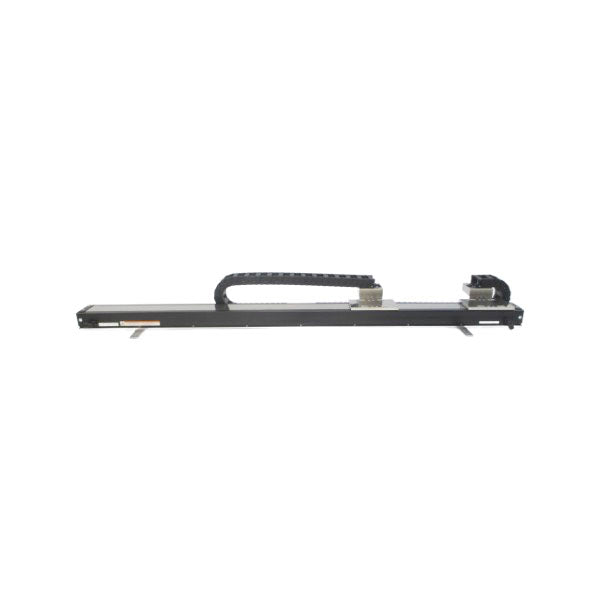 LSAS-N10SM-G-100S-1200-T2-N-SP NUPI