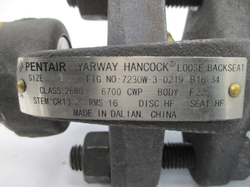PENTAIR HANCOCK 7230W-3-0219 1" 1120PSI UNMP