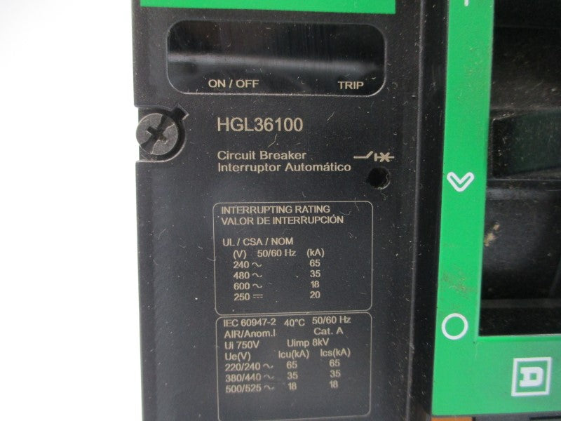 SCHNEIDER ELECTRIC HGL36100 SER. 1 600V 100A NSNP