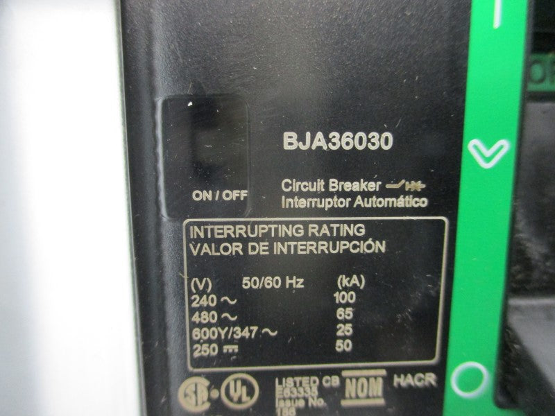 SCHNEIDER ELECTRIC BJA36030 480V 30A NSNP