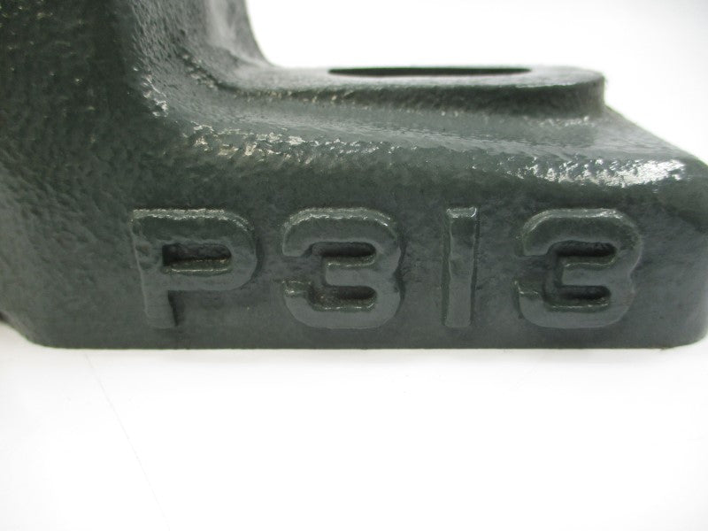 NTN P313 NSNP