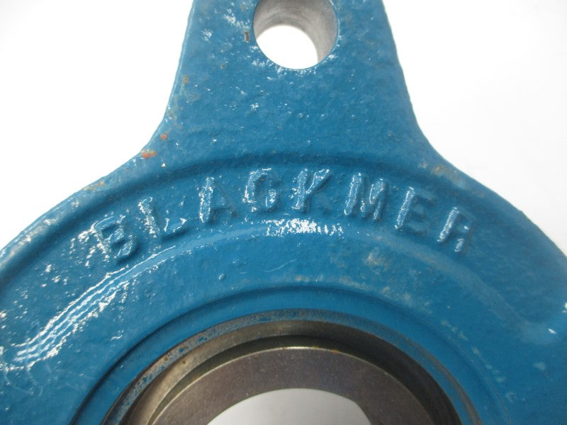 BLACKMER D51177 NSNP