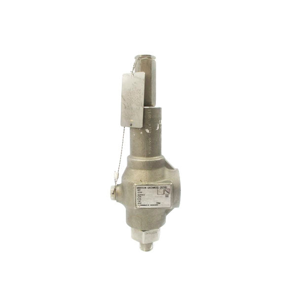 ANDERSON GREENWOOD CROSBY 81PSM48-4 100PSI 1/2"X1" NSNP