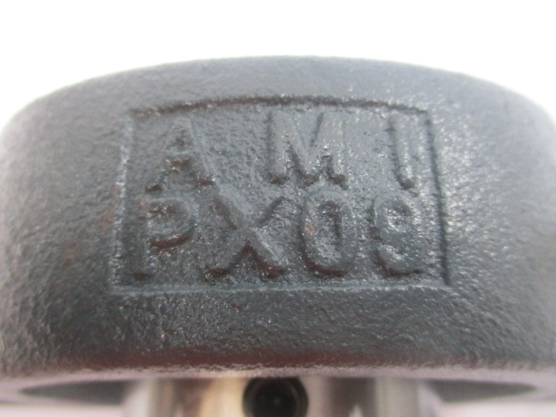 AMI PX09 NSNP