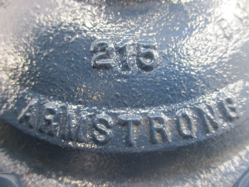 ARMSTRONG 215 D500516 1-1/4" NSNP