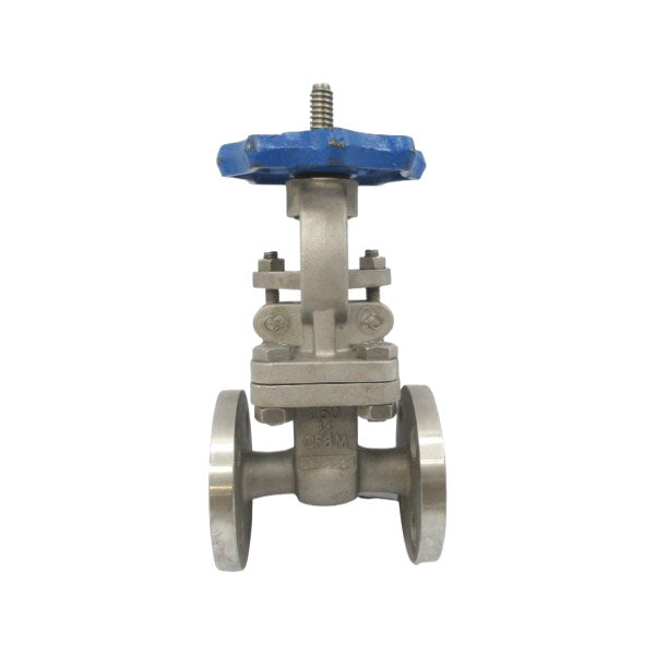 VALVE 150 CF8M 1/2" NSNP