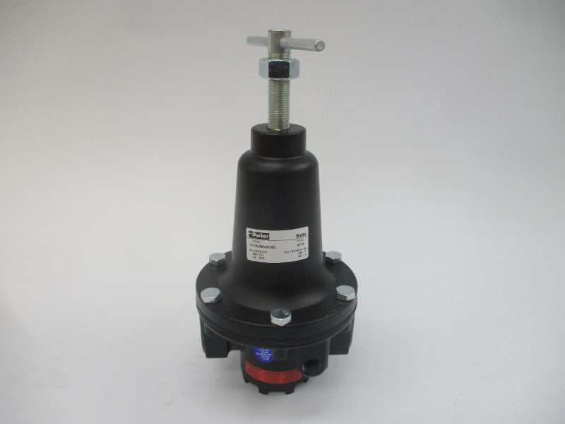PARKER R119-08CGK/M2 300PSI 1" NSMP