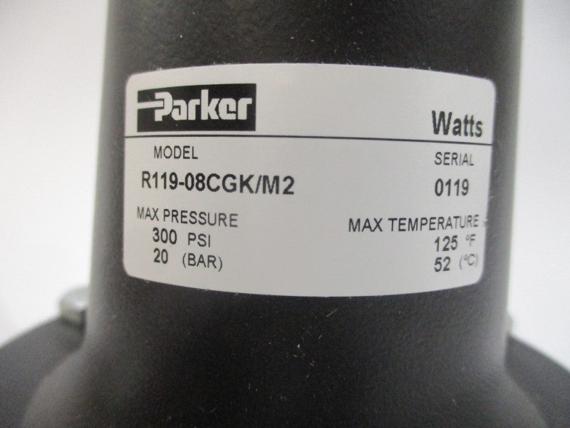 PARKER R119-08CGK/M2 300PSI 1" NSMP