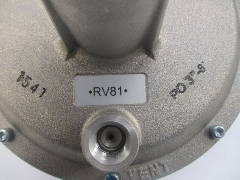MAXITROL RV81 3" NSNP