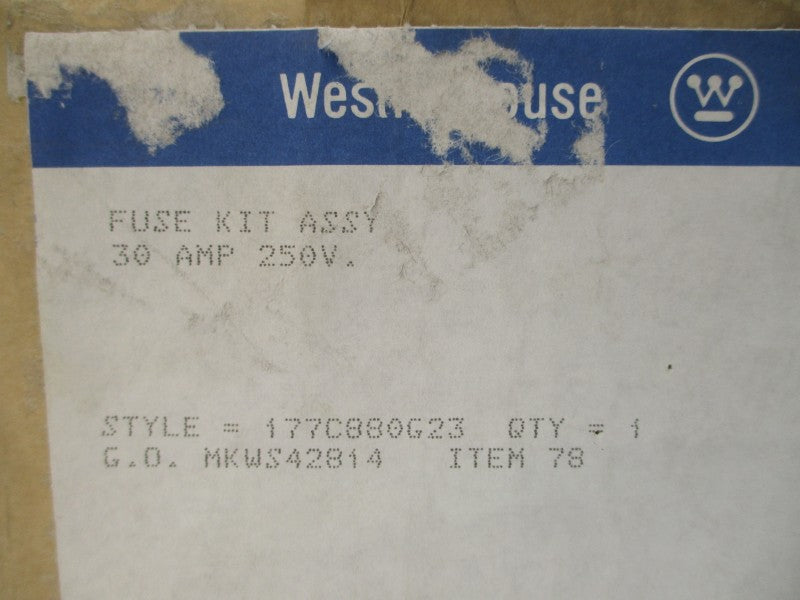 WESTINGHOUSE 177C880G23 250V 30A NSFS