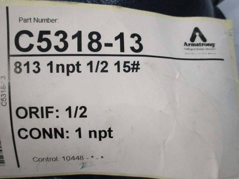 ARMSTRONG C5318-13 813 1/2" NSMP