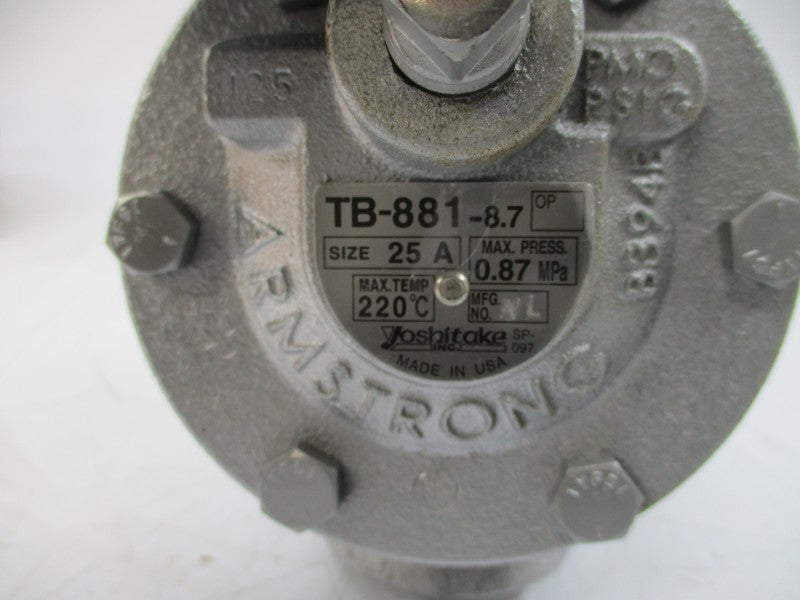 YOSHITAKE TB-881-8.7 25A NSMP