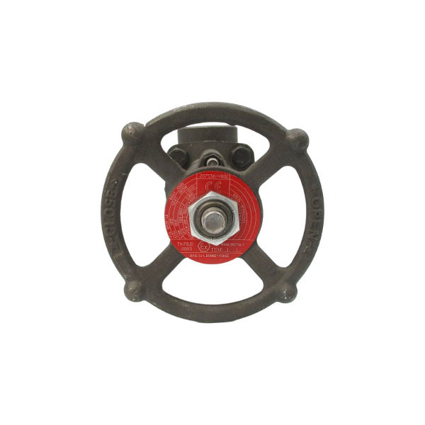 BONNEY FORGE EF57D-LE 1975PSI 2" NSNP