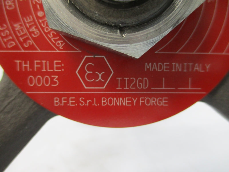 BONNEY FORGE EF57D-LE 1975PSI 2" NSNP
