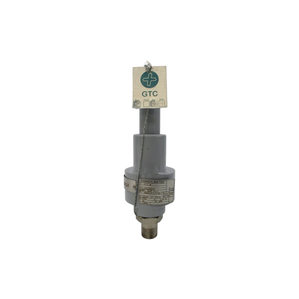 CONSOLIDATED 19096LCF-2-CC*MS-31-MT-FT-LA 250PSI 0.75" NSNP