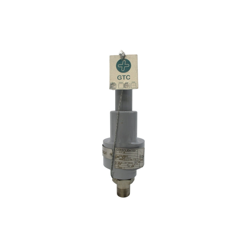 CONSOLIDATED 19096LCF-2-CC*MS-31-MT-FT-LA 250PSI 0.75" NSNP