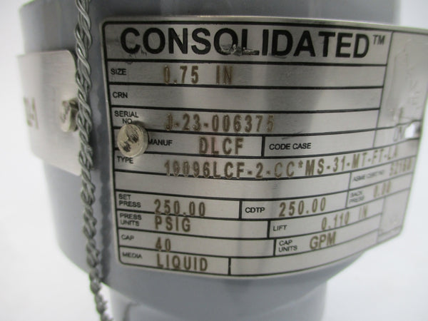 CONSOLIDATED 19096LCF-2-CC*MS-31-MT-FT-LA 250PSI 0.75" NSNP