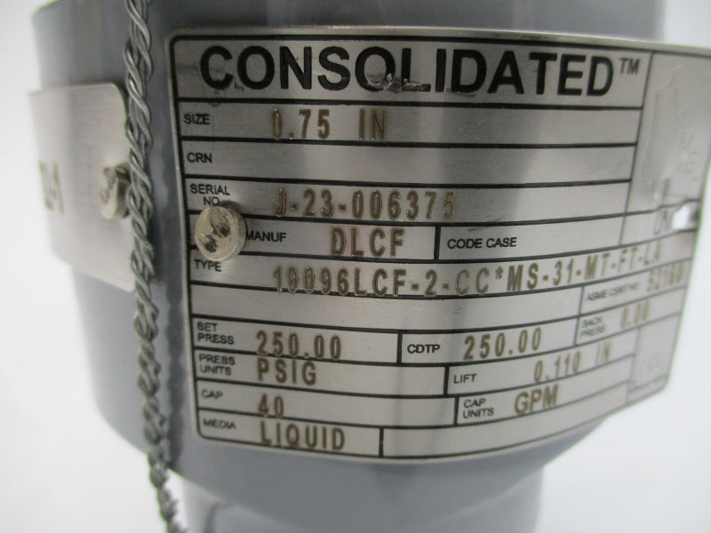 CONSOLIDATED 19096LCF-2-CC*MS-31-MT-FT-LA 250PSI 0.75" NSNP