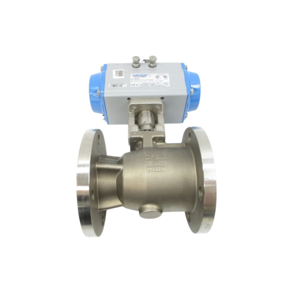 JAMESBURY 37150313600XTZ2C VPVL300DABD 275PSI 3" NSNP