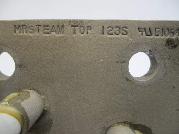 MR STEAM TOP CXS10889-27 39223F 480V UNMP