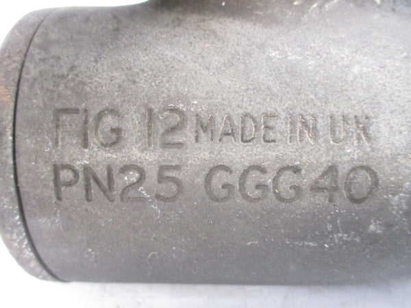 SPIRAX SARCO 12 PN25 GGG40 2" NSNP
